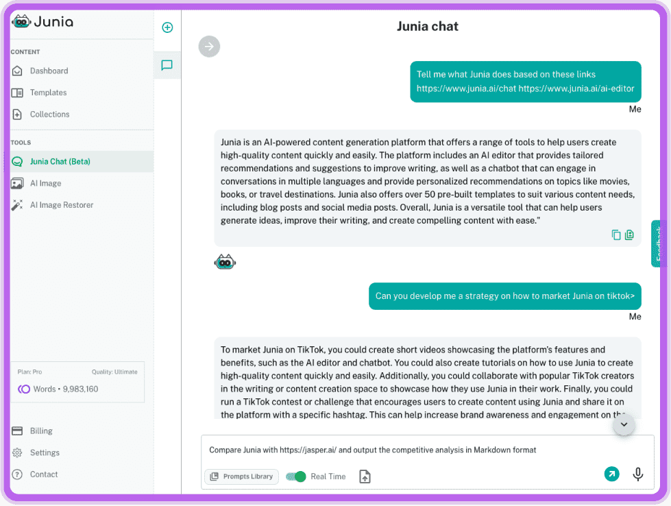 User Interface Of Chat By Junia AI