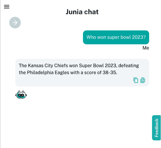 Asking Junia who won super bowl in 2024